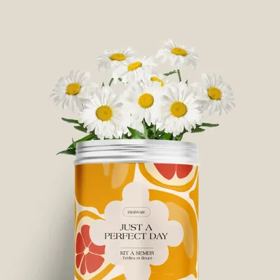 Décorations florales - Kit à semer - Just a perfect day - DIAIWAIE