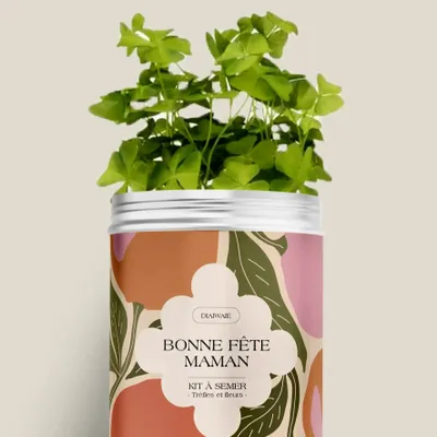 Floral decoration - Seed Kit - Happy Mother's Day - DIAIWAIE