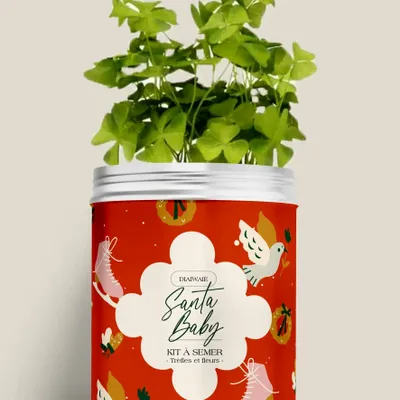Floral decoration - Sowing Kit - Santa Baby - DIAIWAIE