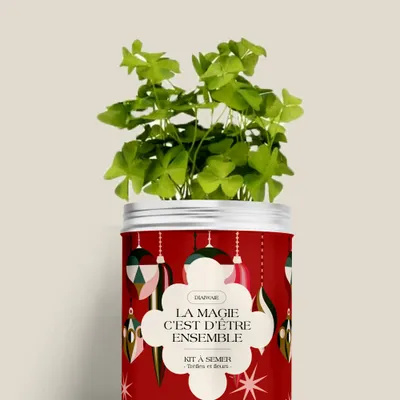 Floral decoration - Sowing Kit - Magic is being together - DIAIWAIE