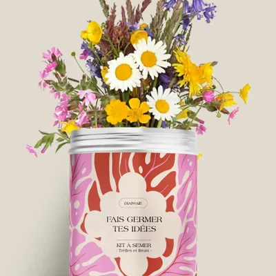 Floral decoration - Seed Kit - Make your ideas germinate - DIAIWAIE