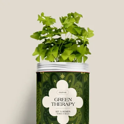 Floral decoration - Seed Kit - Green Therapy - DIAIWAIE