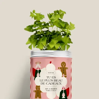 Floral decoration - Seed Kit - You are the most beautiful gift - DIAIWAIE