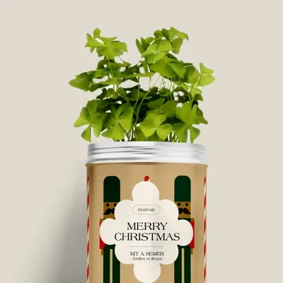 Floral decoration - Sowing Kit - Merry Christmas - DIAIWAIE