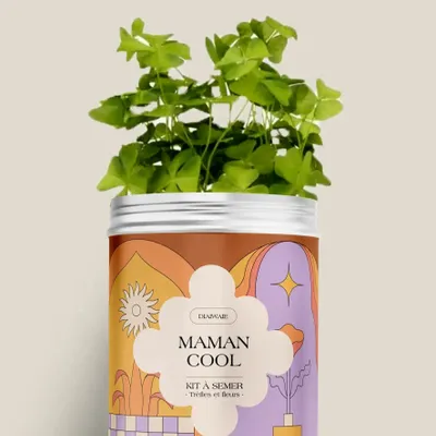 Floral decoration - Seed Kit - Cool Mom - DIAIWAIE