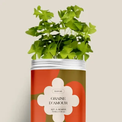 Décorations florales - Kit à semer - Graine d'amour - DIAIWAIE