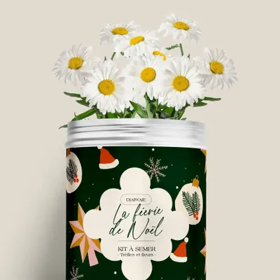 Décorations florales - Kit à semer - Féerie de Noël - DIAIWAIE