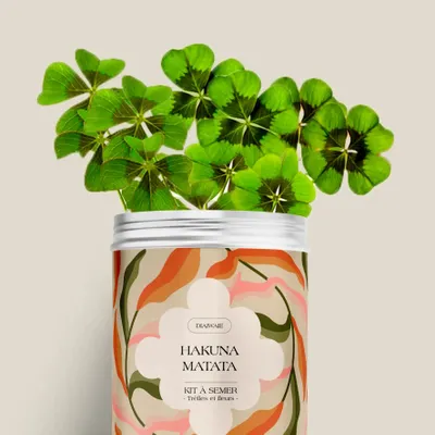 Décorations florales - Kit à semer - Hakuna matata - DIAIWAIE