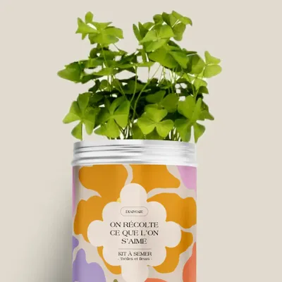 Floral decoration - Sowing Kit - We reap what we love - DIAIWAIE