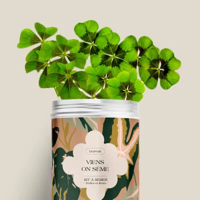 Floral decoration - Sowing Kit - Come on, let's sow - DIAIWAIE