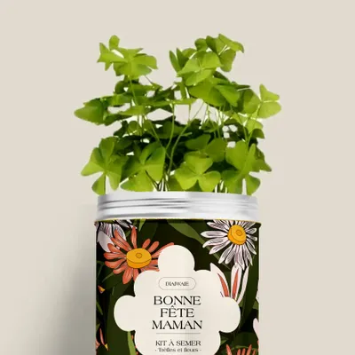 Décorations florales - Kit à semer - Bonne fête maman - DIAIWAIE