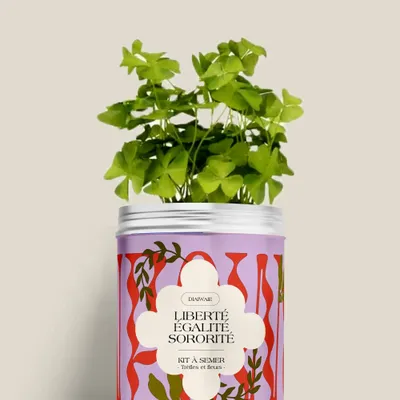 Floral decoration - Seed Kit - Liberty, Equality, Sisterhood - DIAIWAIE