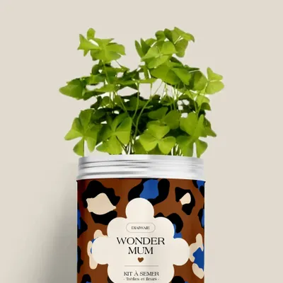 Décorations florales - Kit à semer - Wonder mum - DIAIWAIE
