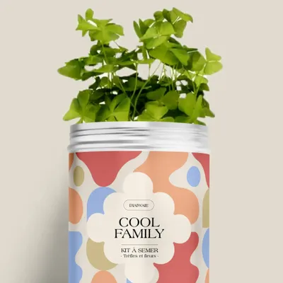 Décorations florales - Kit à semer - Cool family - DIAIWAIE