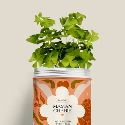 Floral decoration - Sowing Kit - Dear Mom - DIAIWAIE