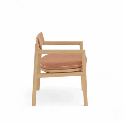 Fauteuils de jardin - Chaise de salle à manger - FJAKA FURNITURE