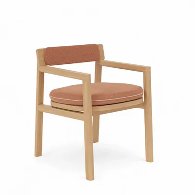 Lawn armchairs - Dining chair - FJAKA FURNITURE