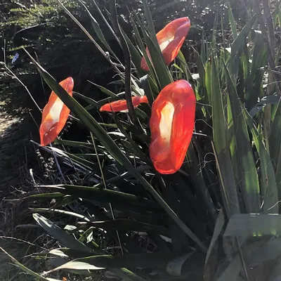 Décorations florales - Fleur en verre tourbillonnante de taille moyenne, rouge-blanc - CARNEOL GLASS