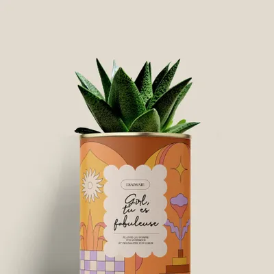 Cadeaux - Girl, tu es fabuleuse - Mini Aloé - DIAIWAIE