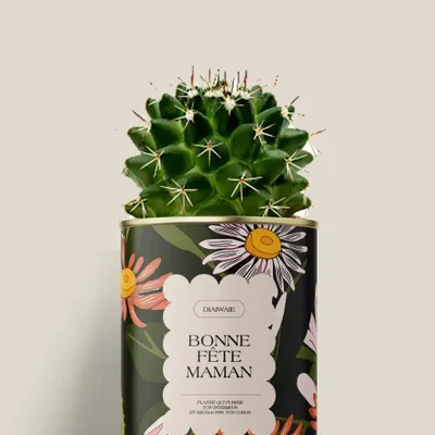 Gifts - Bonne fête maman - Mini Cactus - DIAIWAIE