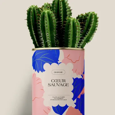Gifts - Coeur sauvage - Maxi Cactus - DIAIWAIE