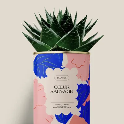 Gifts - Coeur sauvage - Maxi Aloé - DIAIWAIE