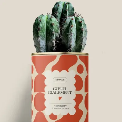 Gifts - Cœur-dialement <3 - Maxi Cactus - DIAIWAIE
