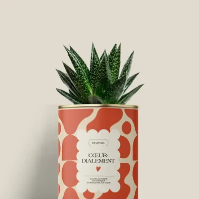 Cadeaux - Cœur-dialement <3 - Mini Aloé - DIAIWAIE