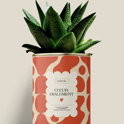 Gifts - Cœur-dialement <3 - Maxi Aloé - DIAIWAIE