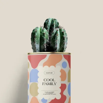 Gifts - Cool family - Mini Cactus - DIAIWAIE