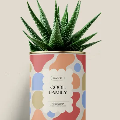 Cadeaux - Cool family - Maxi aloé - DIAIWAIE