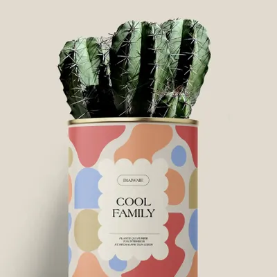 Cadeaux - Cool family - Maxi Cactus - DIAIWAIE