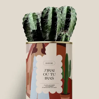 Gifts - J'irai ou tu iras - Maxi cactus - DIAIWAIE