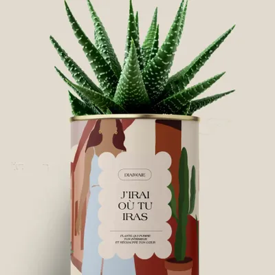 Gifts - J'irai ou tu iras - Maxi aloé - DIAIWAIE