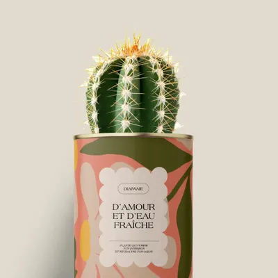Gifts - D'amour et d'eau fraîche - Mini Cactus - DIAIWAIE