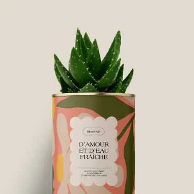 Cadeaux - D'amour et d'eau fraîche - Mini Aloé - DIAIWAIE