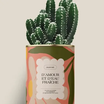 Cadeaux - D'amour et d'eau fraîche - Maxi Cactus - DIAIWAIE