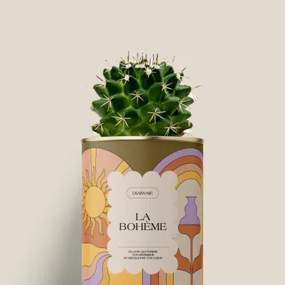 Cadeaux - La bohème - Mini Cactus - DIAIWAIE