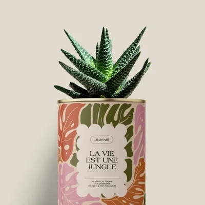 Cadeaux - La vie est une jungle - Mini Aloé - DIAIWAIE