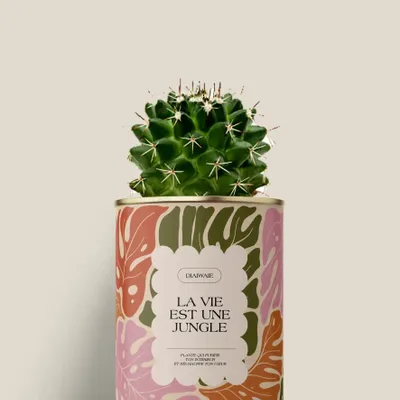 Cadeaux - La vie est une jungle - Mini Cactus - DIAIWAIE