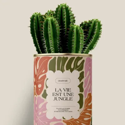 Gifts - La vie est une jungle - Maxi Cactus - DIAIWAIE
