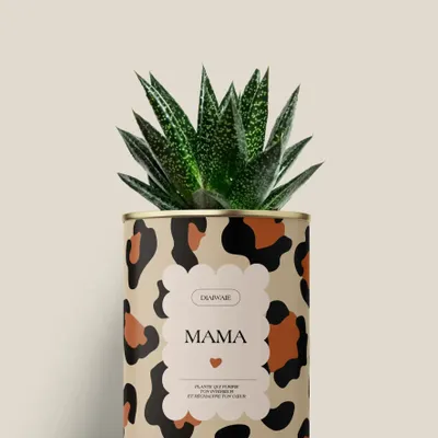 Gifts - Mama - Mini Aloé - DIAIWAIE
