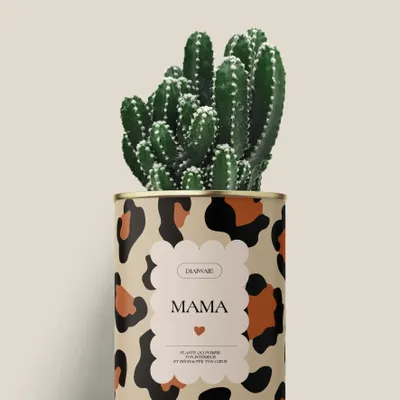 Cadeaux - Mama - Mini Cactus - DIAIWAIE