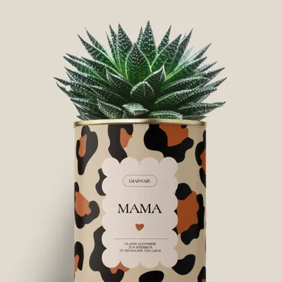 Cadeaux - Mama - Maxi Aloé - DIAIWAIE