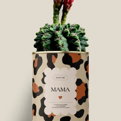 Gifts - Mama - Maxi Cactus - DIAIWAIE