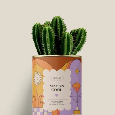 Gifts - Maman cool - Mini Cactus - DIAIWAIE