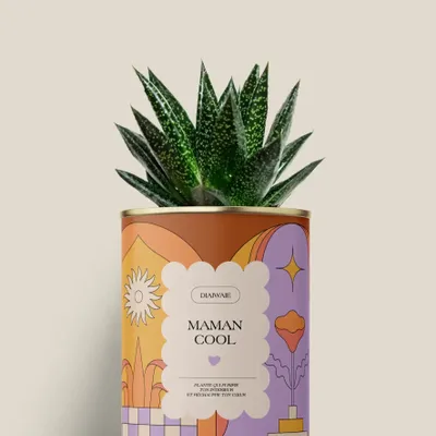 Cadeaux - Maman cool - Mini Aloé - DIAIWAIE