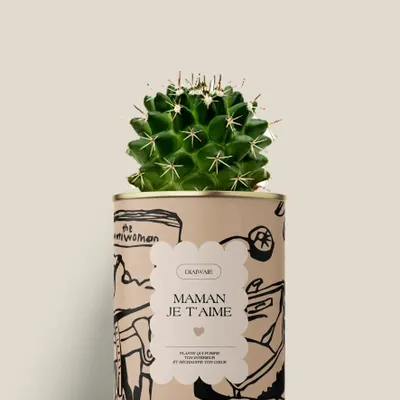 Cadeaux - Maman je t'aime - Mini Cactus - DIAIWAIE