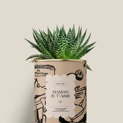 Cadeaux - Maman je t'aime - Mini Aloé - DIAIWAIE