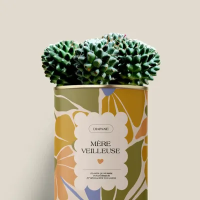 Gifts - Mére veilleuse - Maxi Cactus - DIAIWAIE
